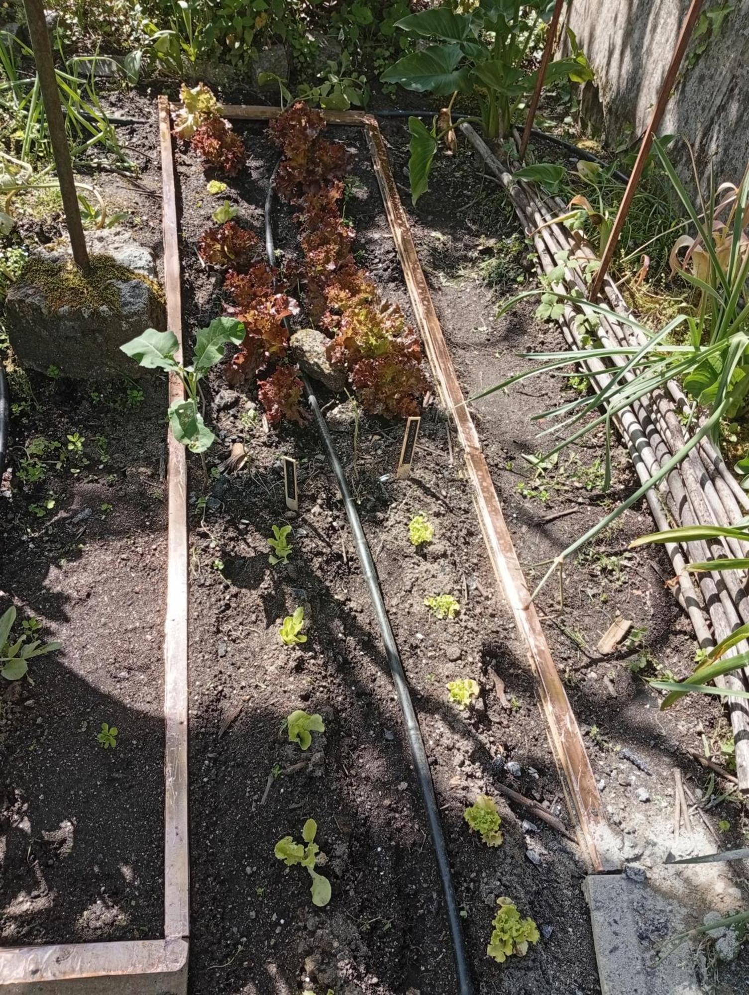 Casinha Da Horta Villa Soajo Kültér fotó